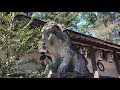 “巨石”洲原神社 岐阜県美濃市 参拝