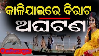 ମଝି ଚିଲିକା ରେ ବଞ୍ଚାଅ ବଞ୍ଚାଅ ରଡି || ମୃତ୍ୟୁ କୁ ଏତେ ପାଖରେ ଦେଖି ଭୋ ଭୋ କାନ୍ଦୁଥିଲେ ଡଙ୍ଗାରେ ବସିଥିବା ଲୋକେ