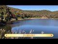 岐阜県　本土神社　土岐　ペトログラフ　巨石群　観光　旅行　ぶらり旅