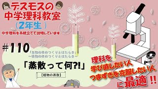 #110  「蒸散とは⁉️蒸散量の計算問題も解説しています♪」【生物のつくりとはたらき】〜植物の体のつくりとはたらき〜植物の蒸散