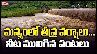 Heavy Rains In Visakha Paderu Manyam Area | Crops Losts In Visakha Due To Heavy Rains| Tolivelugu TV