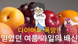 [닥터 J의 돌직구 처방전] 다이어트 폭망! 믿었던 여름 과일의 배신