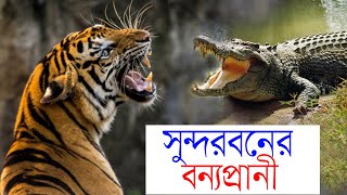 সুন্দরবনের জীববৈচিত্র্য ও বন্যপ্রাণীর বৈচিত্র্য।(তথ্য জগৎ)