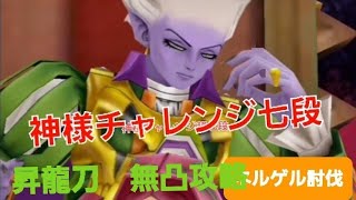 星ドラ　神様チャレンジ　超七段　解説動画