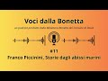 voci dalla bonetta 11 franco piccinini storie dagli abissi marini