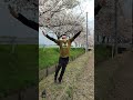 dance sakura 新しい学校のリーダーズ