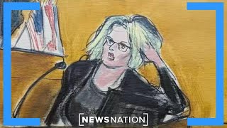 Trump trial sketch artist explains how she draws a newsworthy image | On Balance
