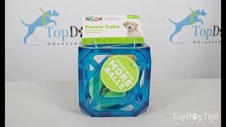 Outward Hound Puzzle Cube Review (2018)