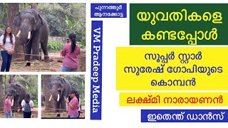 യുവതികൾ ഫോട്ടോഎടുത്തപ്പോൾ ലക്ഷ്മിനാരായണൻ സുരേഷ്ഗോപിയുടെ കൊമ്പൻ@VMPRADEEP #lakshminarayanan#elephant