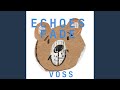 Echoes Fade