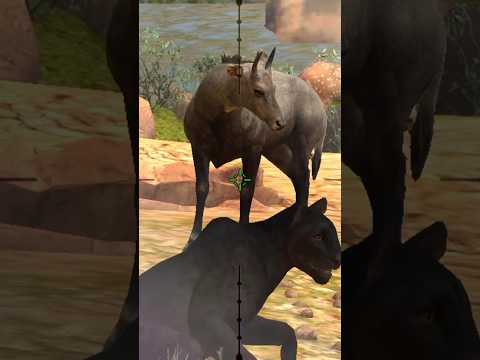 vista objetivo de mezcla de animales #trending #foryou #viralshorts #viralvideos #shortsviral #animals #gaming