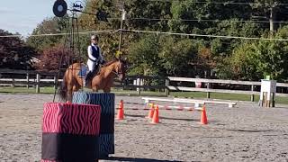 Biddie and Oliver, EOH, L3, 10-3-20