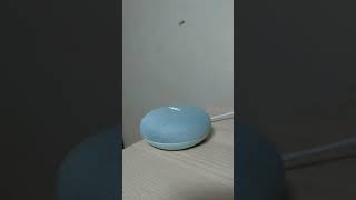 Google Home Mini 終於聽懂/會說中文了