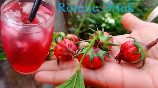 How to Make Roselle Drink Delicious (របៀបធ្វើភេសជ្ជះម្ជូរល្មមរក្សាសុខភាព)