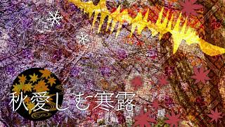 [東方風自作曲]秋愛しむ寒露