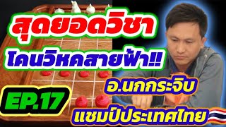 🔥เจาะแต้มมหัศจรรย์ EP.17🔥 | ตอน : โคนวิหคสายฟ้า!!! | จาก อ.นกกระจิบ แชมป์ประเทศไทย ปี 2566🇹🇭