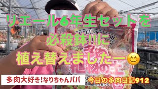 【多肉植物】【ガーデニング】【農家】【農業】【農園】【園芸】リエール必殺鉢❗️に植え替えまーす❣️　　　多肉大好き！なりちゃんパパ　多肉奮闘記その912