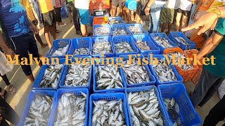 Malvan Fish Market (Evening)