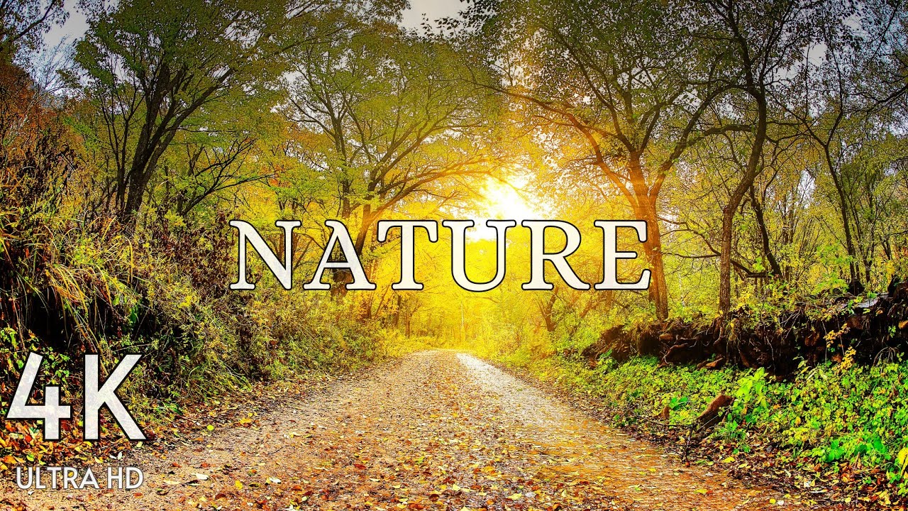 Beautiful Nature 4k Peaceful Relaxing Music Nature 4k Video Ultrahd
