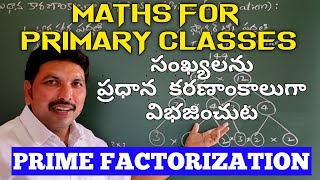 ప్రధాన కారణంకాలు/PRIME FACTORISATION