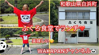 和歌山県白浜町　ふくろ食堂でランチ❤️WAKAPANチャンネル🐼