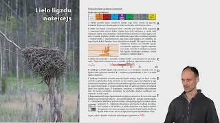 Mežu elementi: lielās ligzdas. Stāsta Jānis Ķuze