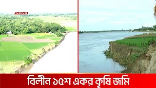 শেরপুরে ৩ সপ্তাহ ধরে ভাঙছে ব্রহ্মপুত্র, প্রতিরোধে নেই উদ্যোগ | DBC NEWS