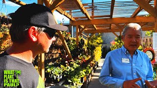 LAGUNA HILLS NURSERY TOUR and INTERVIEW with Gary Matsuoka / SOIL, PLANTS and GREAT STORIES