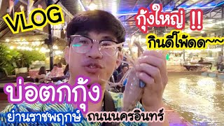 VLOG บ่อตกกุ้ง แซ่บเด้อ กุ้งใหญ่มาก กินเบ็ดดีมาก เพลินเลยจ้า