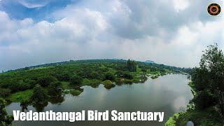 Vedanthangal Bird Sanctuary | Kanchipuram | Into The Nature