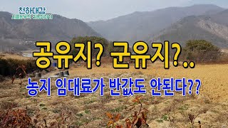 엄청 싼 농지임대료! 군유지 국유지 공유지를 아십니까?  귀농귀촌 농지임대