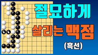 흑 대마를 살리는 절묘한 맥점! [묘수 #66]