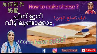 How to make Cheese? ചീസ് എങ്ങനെ ഉണ്ടാക്കാം?ಚೀಸ್ ತಯಾರಿಸುವುದು ಹೇಗೆ كيف تصنع الجبن  சீஸ் செய்வது எப்படி