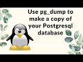 Use pg dump to make a backup of your PostgreSQL database