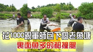 花1000塊跟軍師包下個老魚塘，裏面魚多的都撞腿#三農 #農村生活# 小飛哥#我要上熱門 #戶外  #抓魚vlog