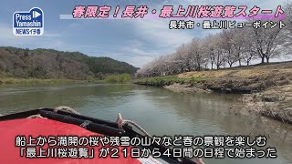 春限定！長井・最上川桜遊覧スタート　長井市・最上川ビューポイント