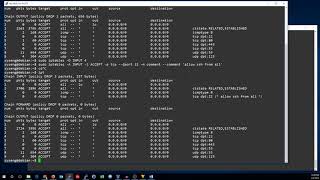iptables ruleset persistence