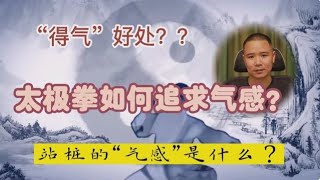 站桩等传统功夫“气感”的科学解释！普通人如何“得气快”？