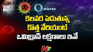 Omicron Variant Updates: ప్రపంచవ్యాప్తంగా 159కి చేరిన ఒమిక్రాన్ కేసులు, సరిహద్దులు మూసేసిన పలుదేశాలు