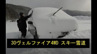 【30ヴェルファイア　4WD】スキーに行ったら大雪だった!