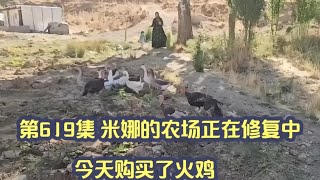 第619集 米娜的农场正在修复中今天购买了火鸡 #纪录片 #新鲜事