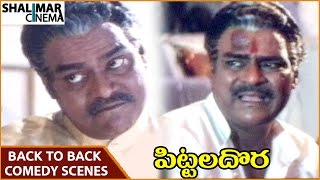 Pittala Dora Movie || Kota Srinivasa Rao Back To Back Comedy Scenes Part 03 || Ali || Shalimarcinema