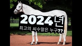 24년 최고의 씨수말은 누구였을가?