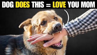 15 Signs Your Dog Really Loves You, Proven by Science