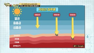 ‘실내 창문·커튼’까지 통과하는 자외선A ☀️  | [기적의 습관] 44회 | TV CHOSUN 20200908 방송