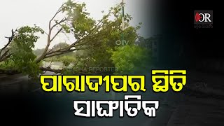 Cyclone Update| Odisha Reporter