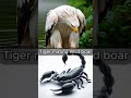 Mind Blowing Hybrid Creatures You Won't Believe Exist in 2024 #WildWondersTV #eagle #spider #snake