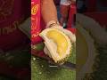 The world's smelliest fruit? but very delicious, Durian fruit cutting #shorts