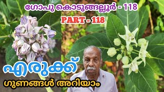 erukku plant malayalam || erikku leaf malayalam || gopu kodungallur