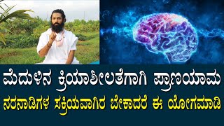 ಮೆದುಳಿನ ಕ್ರಿಯಾಶೀಲತೆಗಾಗಿ ಮತ್ತು ನರನಾಡಿಗಳ ಸಕ್ರಿಯತೆಗಾಗಿ ಈ ಯೋಗ ಮುದ್ರೆ ತಪ್ಪದೇ ಮಾಡಿ | Brain Activity yoga